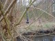 Thumbs/tn_DSC05015.jpg