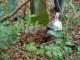 Thumbs/tn_DSC05019.jpg