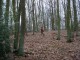 Thumbs/tn_DSC05040.jpg