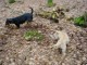 Thumbs/tn_DSC05043.jpg