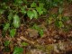 Thumbs/tn_DSC05046.jpg