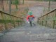 Thumbs/tn_DSC05058.jpg