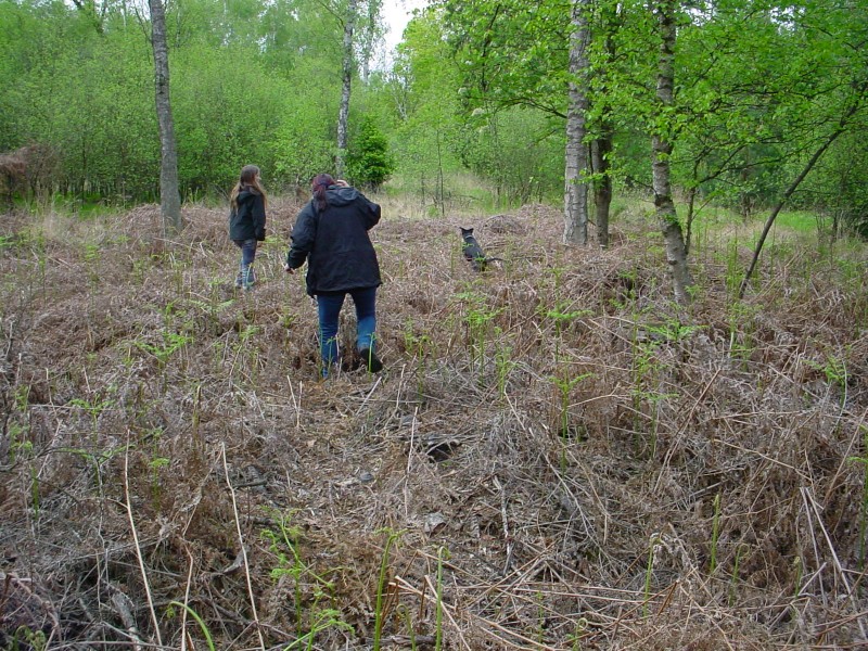 ../Images/DSC07030.jpg