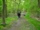 Thumbs/tn_DSC07020.jpg