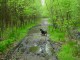 Thumbs/tn_DSC07021.jpg