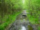 Thumbs/tn_DSC07022.jpg