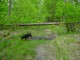 Thumbs/tn_DSC07023.jpg