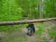 Thumbs/tn_DSC07024.jpg