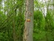 Thumbs/tn_DSC07026.jpg