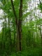 Thumbs/tn_DSC07027.jpg