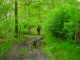 Thumbs/tn_DSC07028.jpg