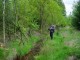 Thumbs/tn_DSC07031.jpg