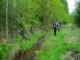 Thumbs/tn_DSC07033.jpg