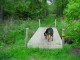 Thumbs/tn_DSC07041.jpg