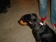 Thumbs/tn_DSC03883.jpg
