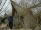 Thumbs/tn_DSC05886.jpg