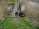 Thumbs/tn_DSC05888.jpg