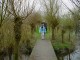 Thumbs/tn_DSC05893.jpg