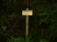 Thumbs/tn_DSC03717.jpg