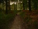Thumbs/tn_DSC03720.jpg
