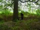 Thumbs/tn_DSC03723.jpg