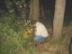 Thumbs/tn_DSC03837.jpg