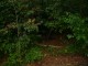 Thumbs/tn_DSC02802.jpg