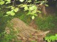 Thumbs/tn_DSC00934.jpg