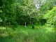 Thumbs/tn_DSC02593.jpg