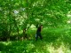 Thumbs/tn_DSC02594.jpg