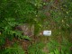 Thumbs/tn_DSC02411.jpg