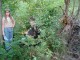 Thumbs/tn_DSC02414.jpg