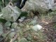 Thumbs/tn_DSC02398.jpg