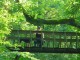 Thumbs/tn_DSC02323.jpg