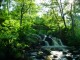 Thumbs/tn_DSC02324.jpg