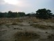 Thumbs/tn_DSC06468.jpg