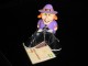 Thumbs/tn_DSC06172.jpg
